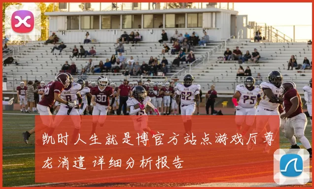 凯时人生就是博官方站点游戏厅尊龙消遣 详细分析报告