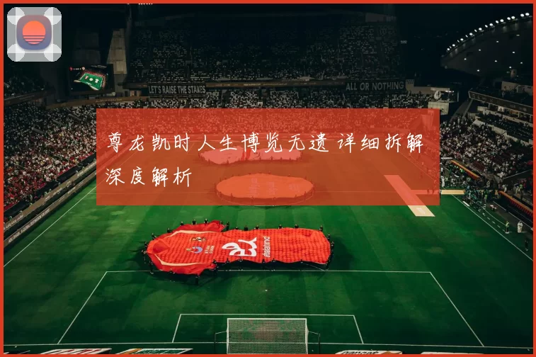 尊龙凯时人生博览无遗 详细拆解 深度解析