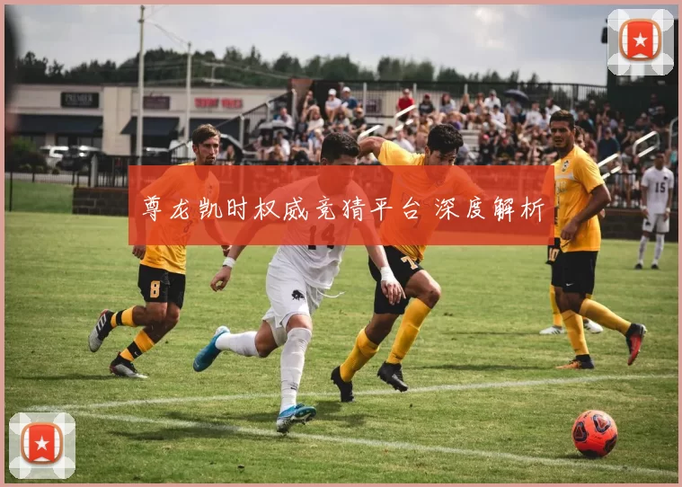 尊龙凯时权威竞猜平台 深度解析