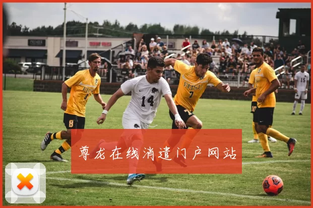 尊龙在线消遣门户网站