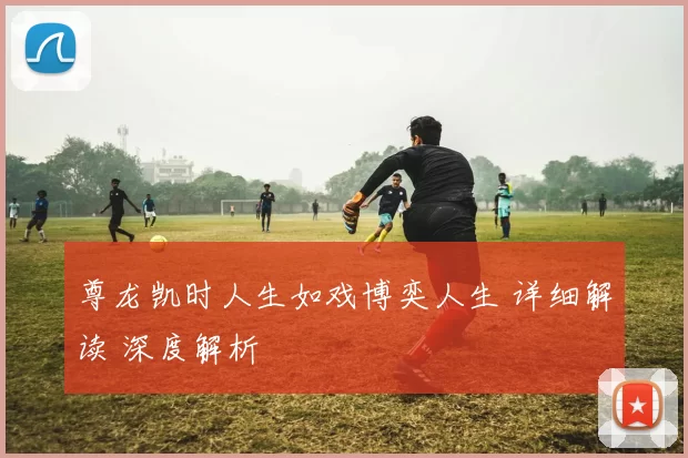 尊龙凯时人生如戏博奕人生 详细解读 深度解析