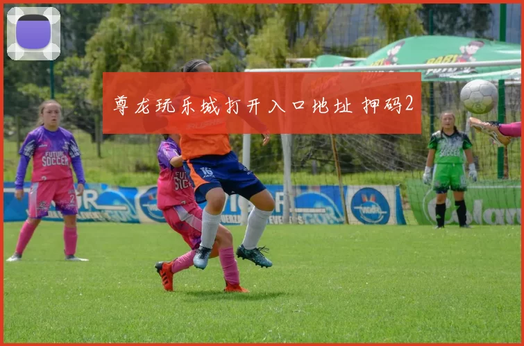 尊龙玩乐城打开入口地址 押码2