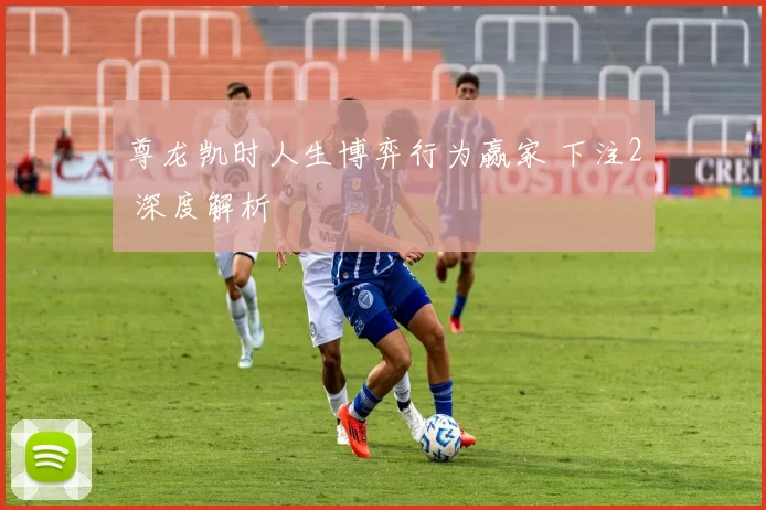 尊龙凯时人生博弈行为赢家 下注2 深度解析