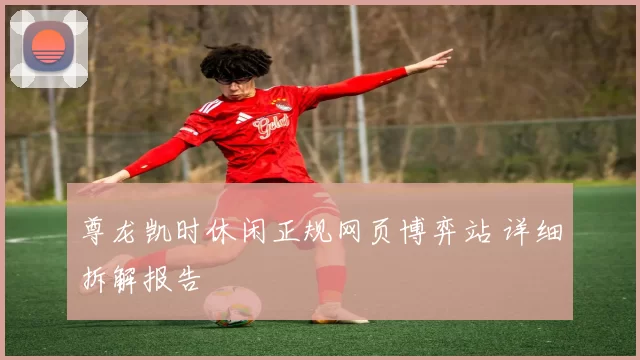 尊龙凯时休闲正规网页博弈站 详细拆解报告