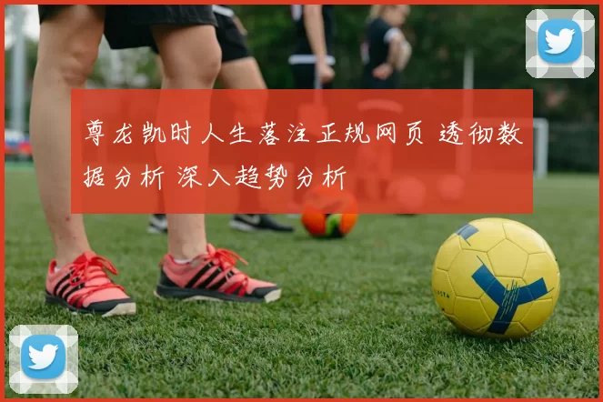 尊龙凯时人生落注正规网页 透彻数据分析 深入趋势分析