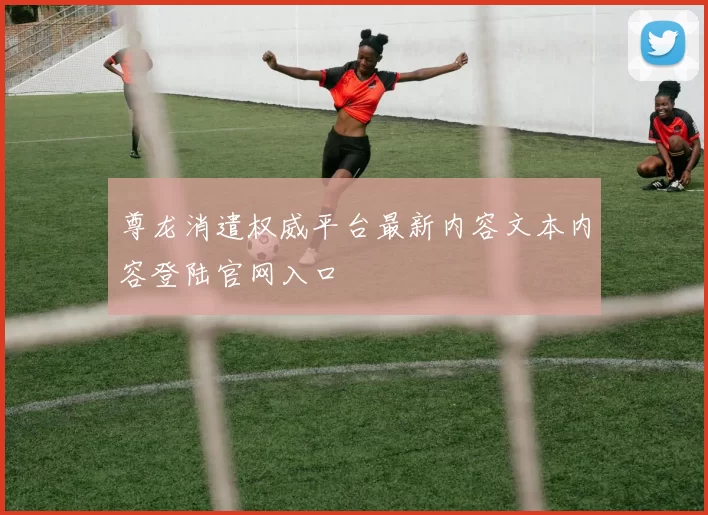 尊龙消遣权威平台最新内容文本内容登陆官网入口