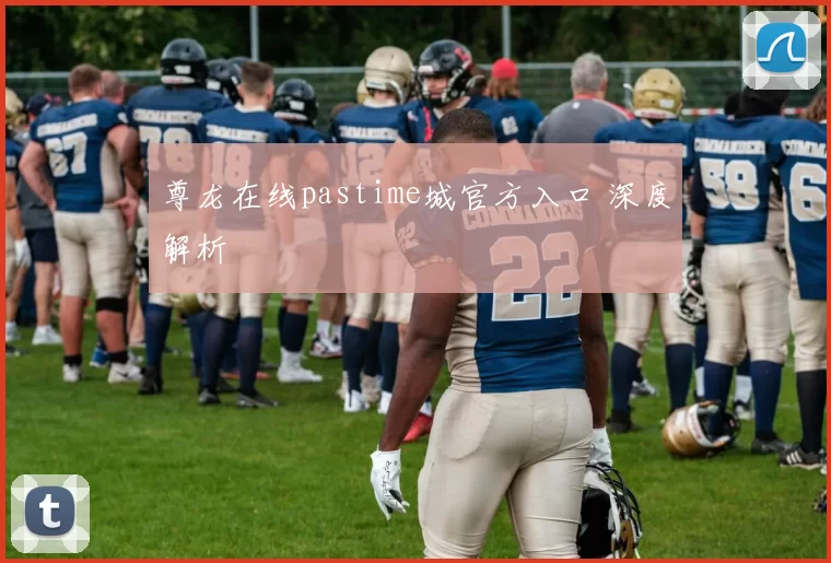 尊龙在线pastime城官方入口 深度解析