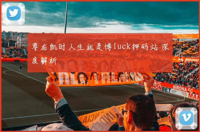 尊龙凯时人生就是博luck押码站 深度解析