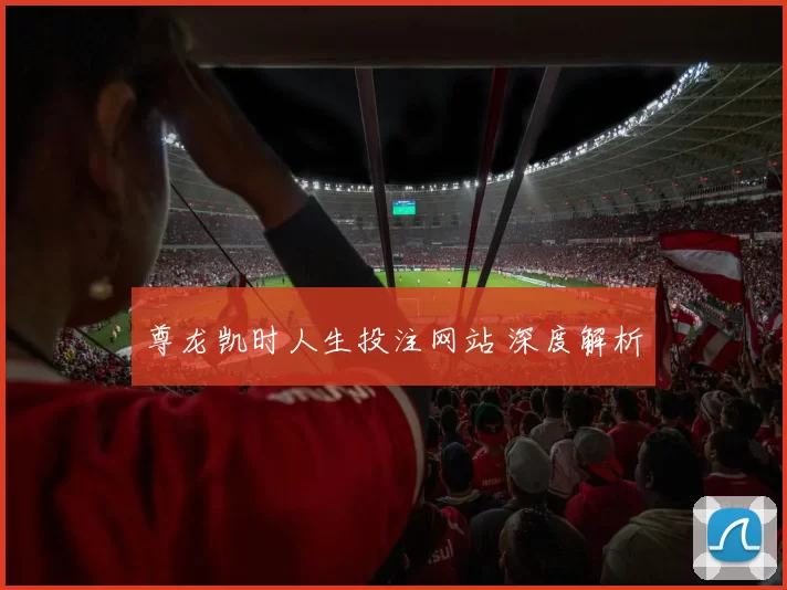 尊龙凯时人生投注网站 深度解析