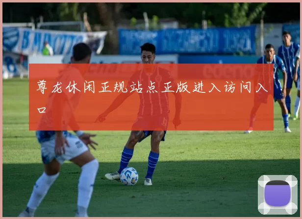 尊龙休闲正规站点正版进入访问入口