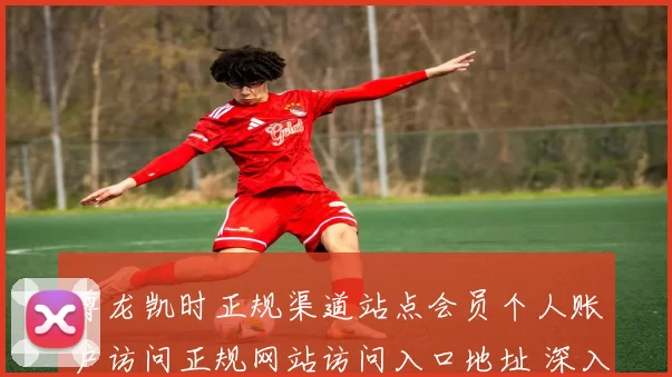 尊龙凯时正规渠道站点会员个人账户访问正规网站访问入口地址 深入解读