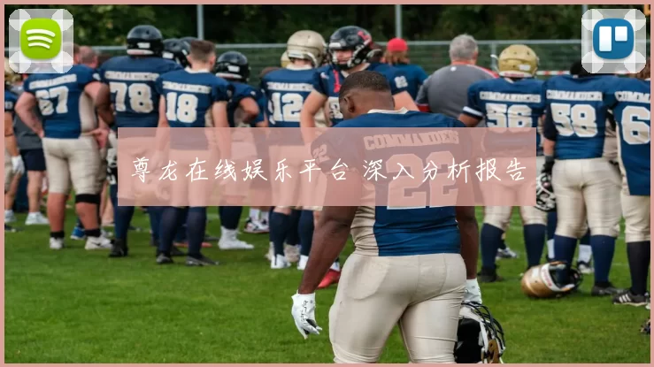 尊龙在线娱乐平台 深入分析报告