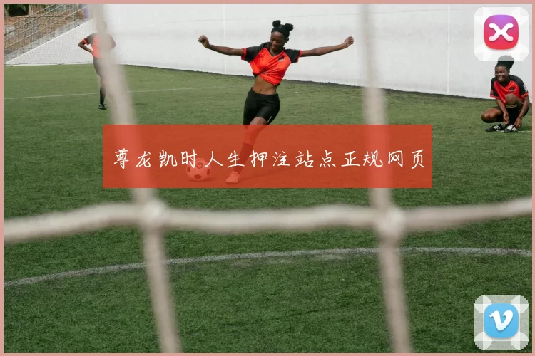 尊龙凯时人生押注站点正规网页