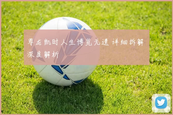 尊龙凯时人生博览无遗 详细拆解 深度解析