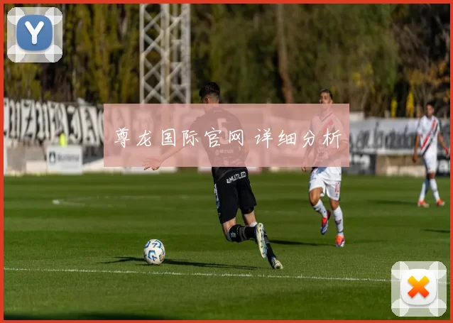 尊龙国际官网 详细分析