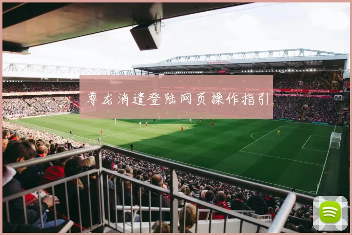 尊龙消遣登陆网页操作指引