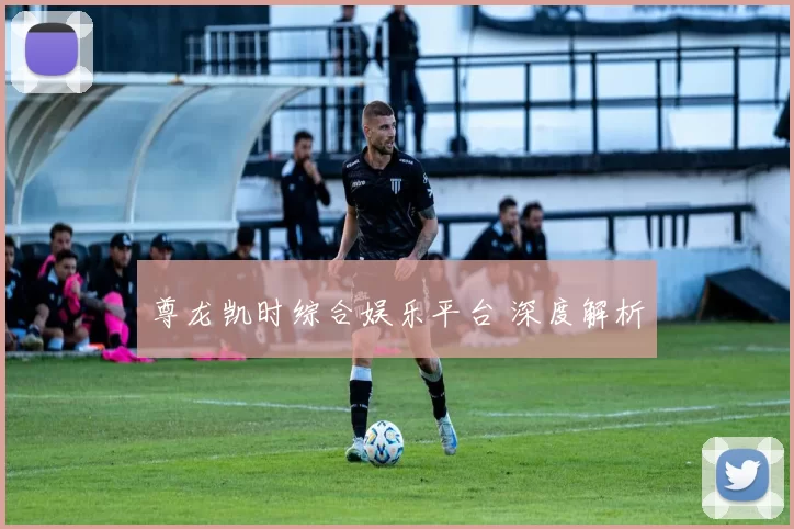 尊龙凯时综合娱乐平台 深度解析